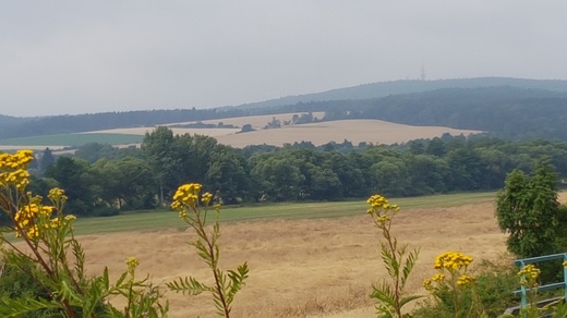 20190712_093953.jpg