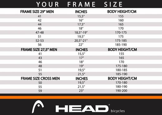 head.jpg