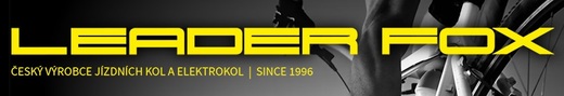 logo_leader_fox.jpg